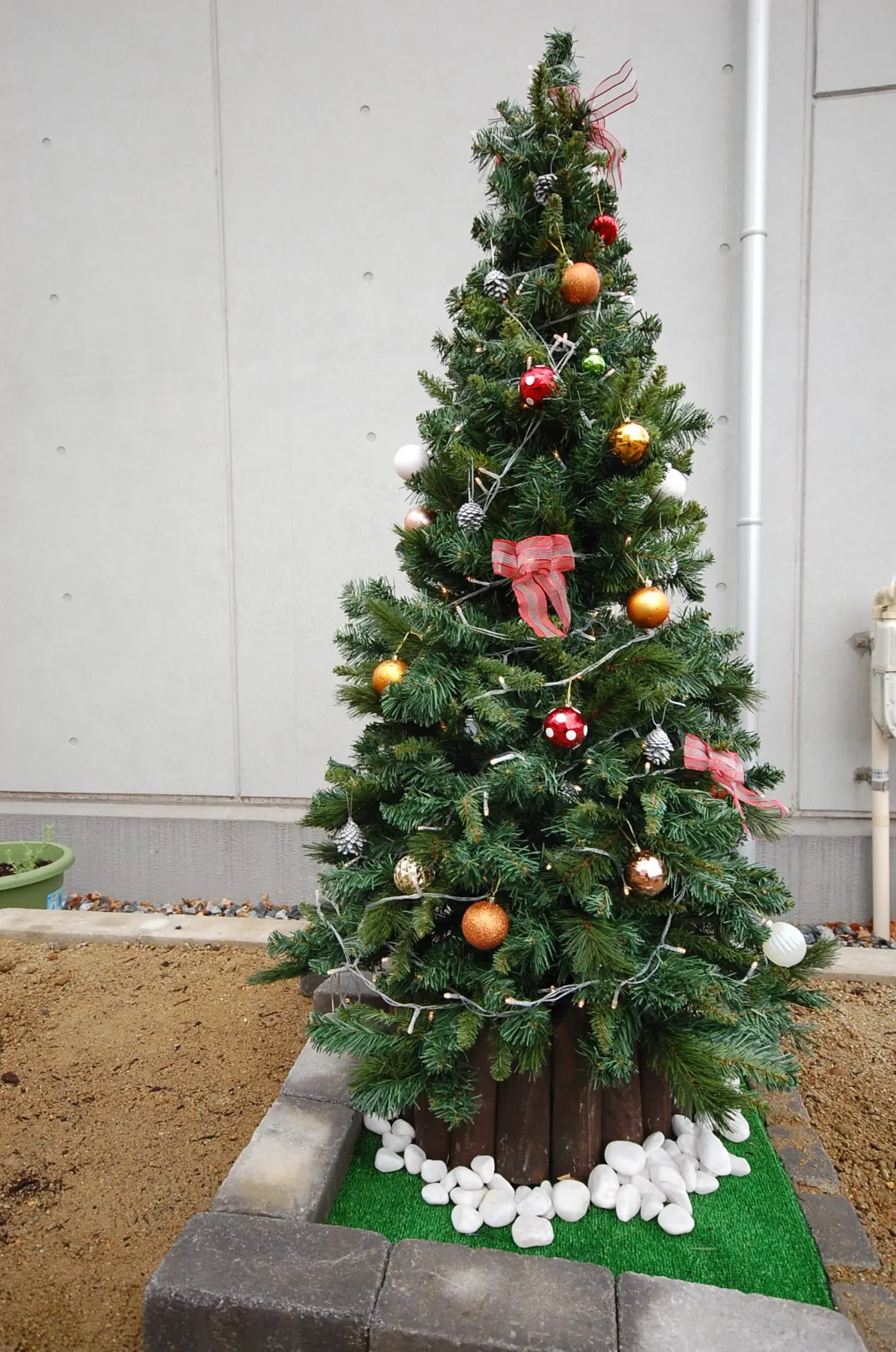 クリスマスツリー 今年はお庭で！ ｜ サン・ライフ｜名古屋市緑区 